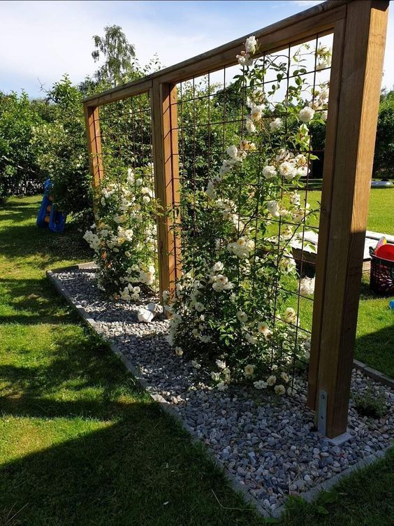 Trellis Privacy Screen