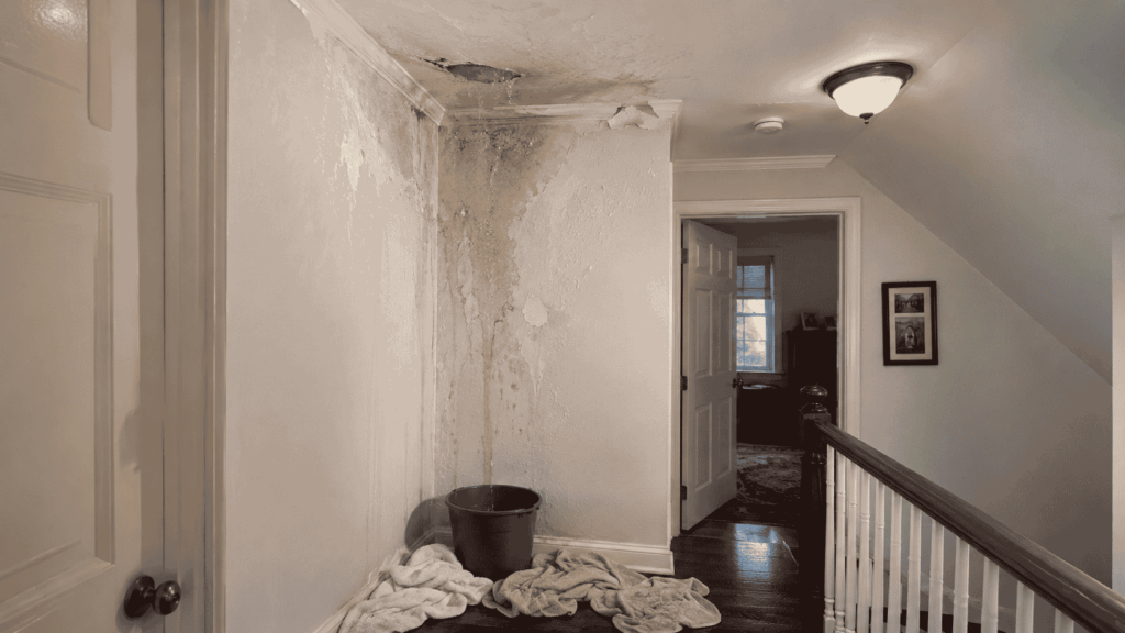 roof leak hallway
